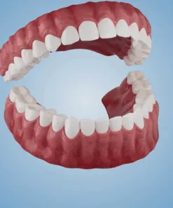 Fearaiy™ --Advanced Customized Full Denture Set